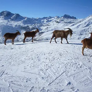 D'hôtes Kiki&coco Saint-Jean-de-Maurienne
